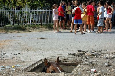 Ve scovce jsem nejlpšeí.jpg